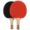 Набір для настільного тенісу DUNLOP DL679338N TT AC MATCH 4 PLAYER SET 4 ракетки 6 м'ячів чохол 4
