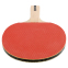 Набір для настільного тенісу DUNLOP DL679338N TT AC MATCH 4 PLAYER SET 4 ракетки 6 м'ячів чохол 7