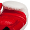 Боксерські рукавиці шкіряні TWINS FBGVL3-28 12-16унцій кольори в асортименті 8