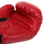 Перчатки боксерские на липучке PVC MIKE TYSON VL-4544 10-14унций цвета в ассортименте 3