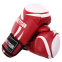 Перчатки боксерские на липучке PVC MIKE TYSON VL-4544 10-14унций цвета в ассортименте 4