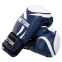 Перчатки боксерские на липучке PVC MIKE TYSON VL-4544 10-14унций цвета в ассортименте 9