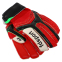 Перчатки вратарские с защитой пальцев FDSPORT FB-873 размер 8-10 цвета в ассортименте 34