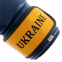 Перчатки боксерские UKRAINE MA-7555 2-16 унций синий-желтый 1