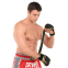 Перчатки Крабы спаринговые для MMA HARD TOUCH BO-00134 S-XL цвета в ассортименте 7