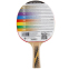 Ракетка для настільного тенісу DONIC Legends 300 FSC MT-705234 кольори в асортименті 0