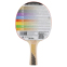 Ракетка для настільного тенісу DONIC Legends 200 FSC MT-705221 кольори в асортименті 0