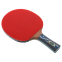 Ракетка для настольного тенниса в чехле DONIC Legends Platinum MT-754432 цвета в ассортименте 1