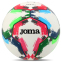 Мяч футбольный Joma FIFA PRO GIOCO II 400646-200 №5 белый 0