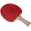 Ракетка для настольного тенниса BUTTERFLY 85011 TIMO BOLL BRONZE цвета в ассортименте 1