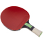 Ракетка для настольного тенниса BUTTERFLY 85082 TIAGO APOLONIA TAX3 цвета в ассортименте 1