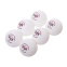 Набор мячей для настольного тенниса FOX 6* T006 40+ 6 шт белый 2