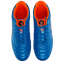 Сороконіжки футбольні LIJIN OB-1503-40-44-2 розмір 40-44 синій 6