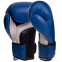 Перчатки боксерские UFC PRO Fitness UHK-75114 18 унций синий 1