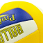 М'яч волейбольний BALLONSTAR LG2048 №5 PU 1