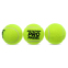 Мячи для большого тенниса DUNLOP PRO PADEL DL601384 3шт салатовый 1