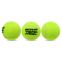 Мячи для большого тенниса DUNLOP TEAM PADEL DL601385 3шт салатовый 1