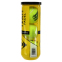 Мячи для большого тенниса DUNLOP TEAM PADEL DL601385 3шт салатовый 4