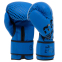 Боксерські рукавиці MARATON EVOLVE02 10-12 унцій кольори в асортименті 1