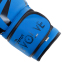 Боксерські рукавиці MARATON EVOLVE02 10-12 унцій кольори в асортименті 2