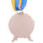 Медаль спортивная с лентой SP-Sport Карате C-4338 золото, серебро, бронза 4