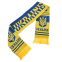 Шарф для вболівальника UKRAINE зимовий SP-Sport FB-6031 жовтий-синій 0