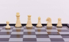 Шахматы дорожные на магнитах SP-Sport SC5477 19x19 см пластик 6