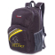 Рюкзак спортивный с жесткой спинкой Zelart GA-3705 20л цвета в ассортименте 5