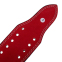 Пояс для пауерліфтингу шкіряний Zelart SB-165159 ширина-10см розмір-XS-XXL червоний 5