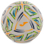 М'яч футбольний Joma HALLEY II 401268-214-T5 №5 білий 1