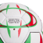 М'яч футбольний ITALY BALLONSTAR FB-695 №5 1