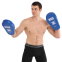 Лапа боксерська пряма подовжена тренувальна Кожвініл BOXER NEW 2008-N 38х18х4,5см 2штуки кольори в асортименті 15