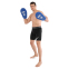 Лапа боксерська пряма подовжена тренувальна Кожвініл BOXER NEW 2008-N 38х18х4,5см 2штуки кольори в асортименті 16