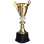 Кубок спортивний з ручками SP-Sport 2181C висота 28см золотий 0