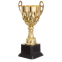 Кубок спортивный с ручками SP-Sport 4045C высота 29см золотой 0