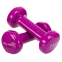 Гантели для фитнеса виниловые Zelart Beauty TA-5225-1 2шт 1кг цвета в ассортименте 16