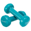 Гантели для фитнеса виниловые Zelart Beauty TA-5225-1 2шт 1кг цвета в ассортименте 24