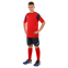 Форма футбольна комплект футболка та шорти Joma PHOENIX 102741-603 4XS-2XL червоно-темно-синій 18