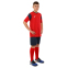 Форма футбольна комплект футболка та шорти Joma PHOENIX 102741-603 4XS-2XL червоно-темно-синій 19