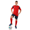 Форма футбольна комплект футболка та шорти Joma PHOENIX 102741-603 4XS-2XL червоно-темно-синій 20