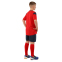 Форма футбольна комплект футболка та шорти Joma PHOENIX 102741-603 4XS-2XL червоно-темно-синій 21