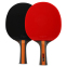 Набор для настольного тенниса FOX FOX-6003 цвета в ассортименте 1
