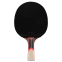 Ракетка для настільного тенісу в чохлі FOX FOX8 1