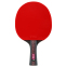 Ракетка для настільного тенісу в чохлі FOX FOX6 2