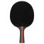 Ракетка для настільного тенісу в чохлі FOX FOX-3 1