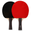 Набор для настольного тенниса FOX 219A-2 2 ракетки 2 мяча 0