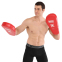 Лапа боксерська пряма подовжена тренувальна Кожвініл BOXER NEW 2009-N 40х21х4,5см 2штуки кольори в асортименті 15