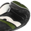 Перчатки боксерские кожаные FISTRAGE VL-4143 10-14унций цвета в ассортименте 9