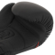 Перчатки боксерские кожаные FISTRAGE VL-4144 10-14унций цвета в ассортименте 13