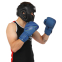 Перчатки боксерские кожаные FISTRAGE VL-4144 10-14унций цвета в ассортименте 19